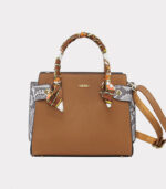 Cartera Caeli